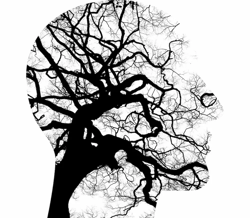 The silhouette of a human head with a tree branching within it – a symbol of new insights, growth, and change in psychotherapy.