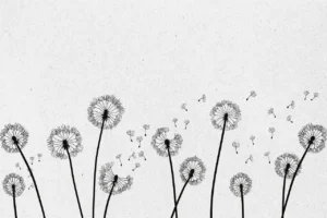 Maslačci koje vjetar raspuhuje simboliziraju osobni rast i razvoj kroz psihoterapiju.